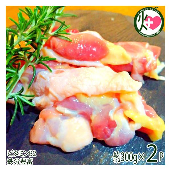 F{܌{ 600g ΈH F{ yY Ye{  ނ˃~bNX yfŏ_炩 Ǩ{ r^~B2 SLx