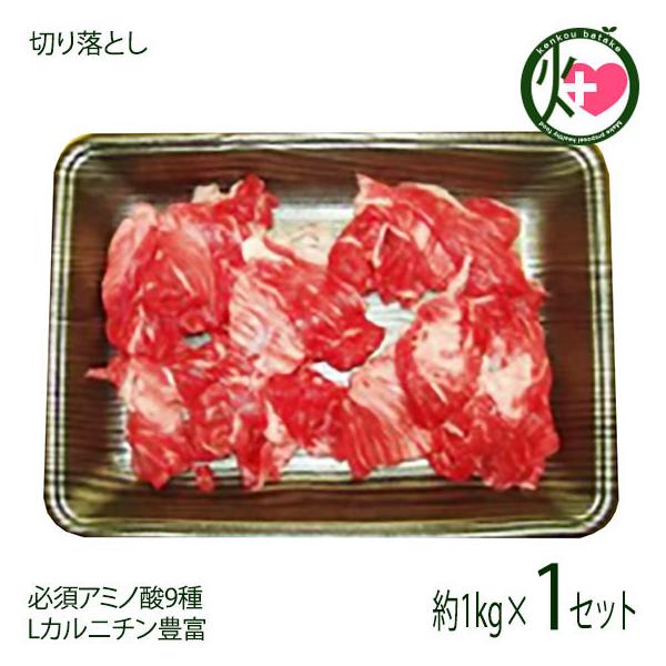 Mtg _˃r[t p ؂藎Ƃ 1000g {Hi yY 蕨 K{A~m_9 LJj`Lx