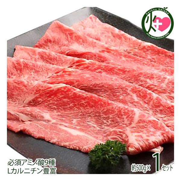 Mtg _˃r[t p ₫p Ԑg 500g {Hi  H p yY 蕨 K{A~m_9 LJj`Lx