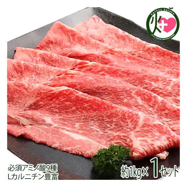 Mtg _˃r[t p ₫p Ԑg 1000g {Hi  H p yY 蕨 K{A~m_9 LJj`Lx