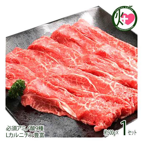 Mtg _˃r[t p ₫p Ԑgo 500g {Hi  H p yY 蕨 K{A~m_9 LJj`Lx