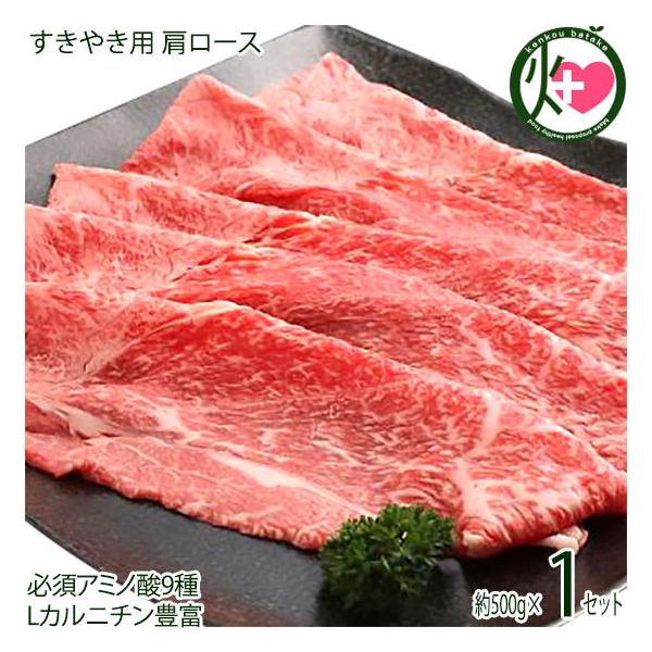 Mtg _˃r[t p ₫p [X 500g {Hi Ɍ lC yY  蕨 CmV_ IC_