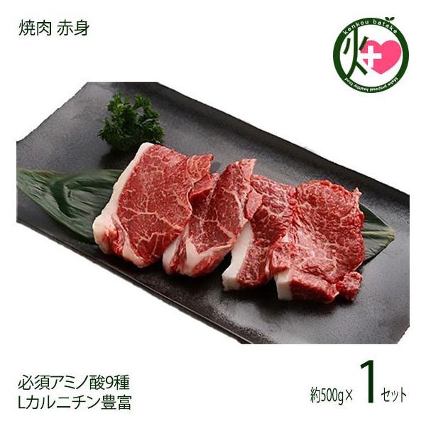 Mtg _˃r[t p ē Ԑg 500g {Hi yY 蕨 K{A~m_9 LJj`Lx