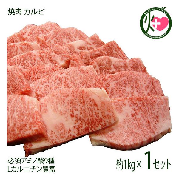 Mtg _˃r[t p ē Jr 1000g {Hi yY 蕨 K{A~m_9 LJj`Lx