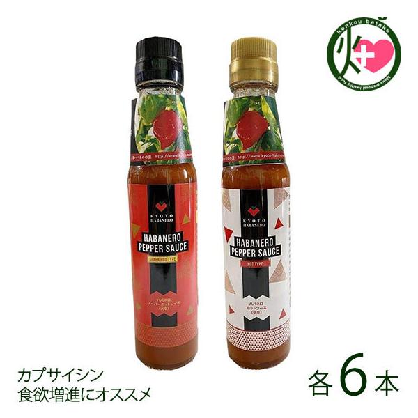 nol\[X h h 150g×e6r snol̗ s lC yY  sỸnol̂ݎgp \h JvTCV