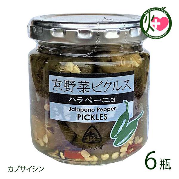 ؃sNX ny[j 120g×6r snol̗ s lC yY  Е JvTCV