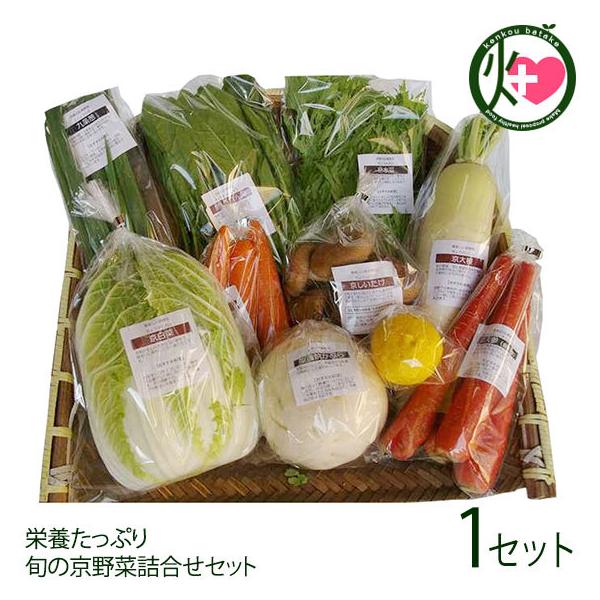 ؂̑} {̋؋l M[ snol̗ s{ yY  h{Ղ {̋؋lZbg