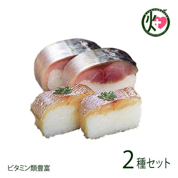 IB I  _ 2Zbg  Mtg p v~Aa̎R