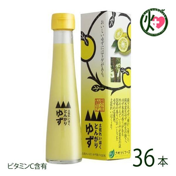 Ƃ񂪂䂸 120ml×36{ ߂t[Y m l t[c (݂傤)Mq ۂ 肵ڂ ʏ`100% r^~C