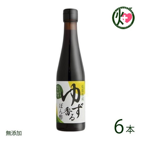 ቷn 䂸|| 300ml×6{ ߂t[Y m l t[c Mq ۂ 肵ڂʏ`gp r^~C NG_