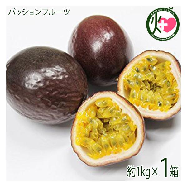 沖縄県産 パッションフルーツ 約1kg 9〜13玉×1箱 サンチャイルド農園