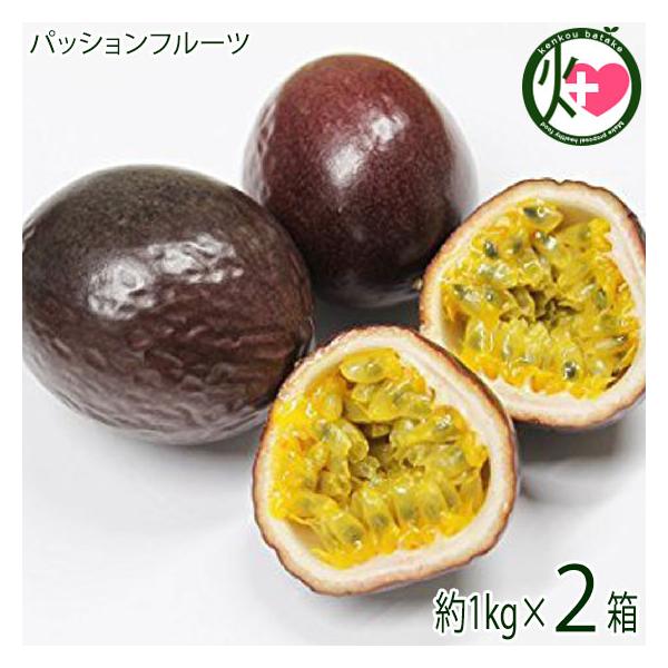 沖縄県産 パッションフルーツ 約1kg 9〜13玉×2箱 サンチャイルド農園