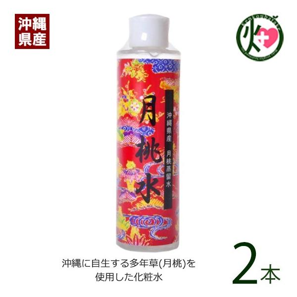  200ml×2{ XN{  yY lC ϐ Y e |tFm[ NǗ