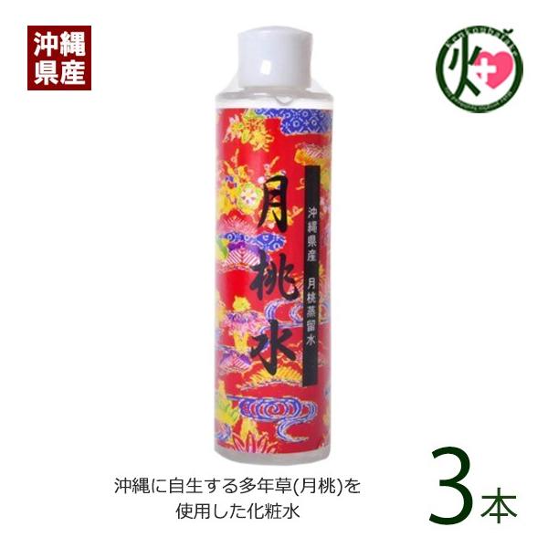  200ml×3{ XN{  yY lC ϐ Y e |tFm[ NǗ