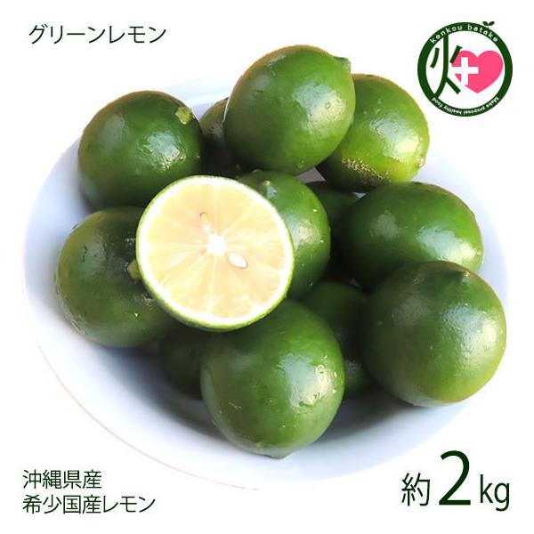 ꌧY O[ 2kg 20`40 {  yY  ʕ bNXEhܕsgp 󏭍Y