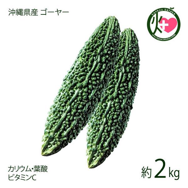 【名称】ゴーヤ【内容量】約２ｋｇ【賞味期限】■丸のまま：1〜2日程度■カットゴーヤ：切って中の種とワタを取りだしたゴーヤは、1週間程度【原材料】沖縄県産ゴーヤ【保存方法】商品到着後は、冷蔵庫の野菜室に入れて保存します。かすかに濡れた新聞紙に...