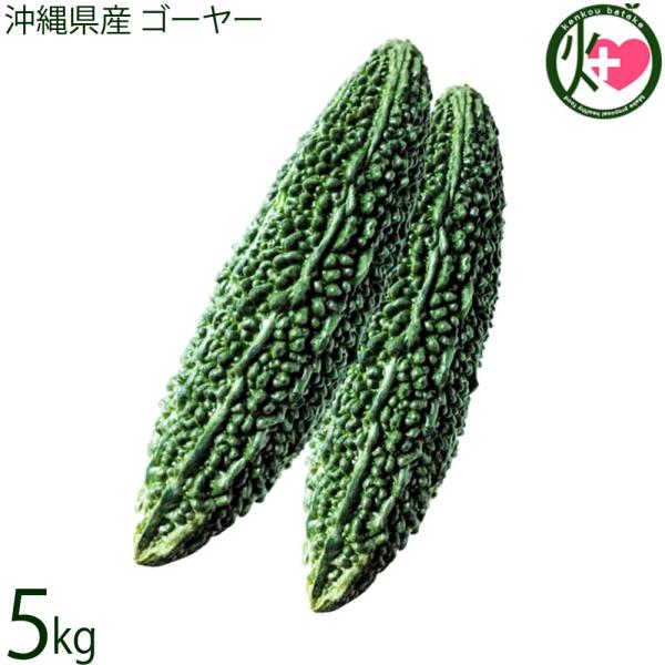 [Release date: January 6, 2026]【名称】ゴーヤー【内容量】5kg×1【賞味期限】到着日より■丸のまま：1〜2日程度■カットゴーヤー：切って中の種とワタを取りだしたゴーヤーは、1週間程度【保存方法】商品到着後は、...