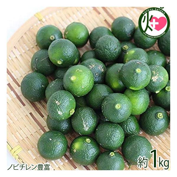 Ԍ Y V[N[T[1kg  lC 썑t[c  yY