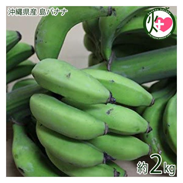 沖縄産 数量限定 幻の島バナナ 約2kg