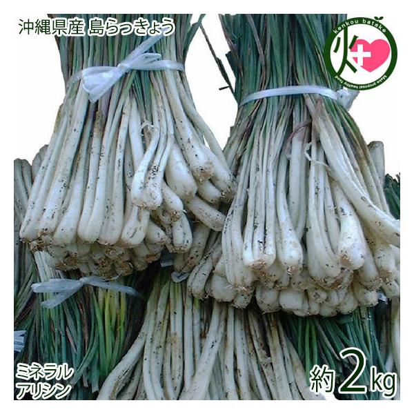 Y傤 2kg  lC 썑  yY AV AfmV