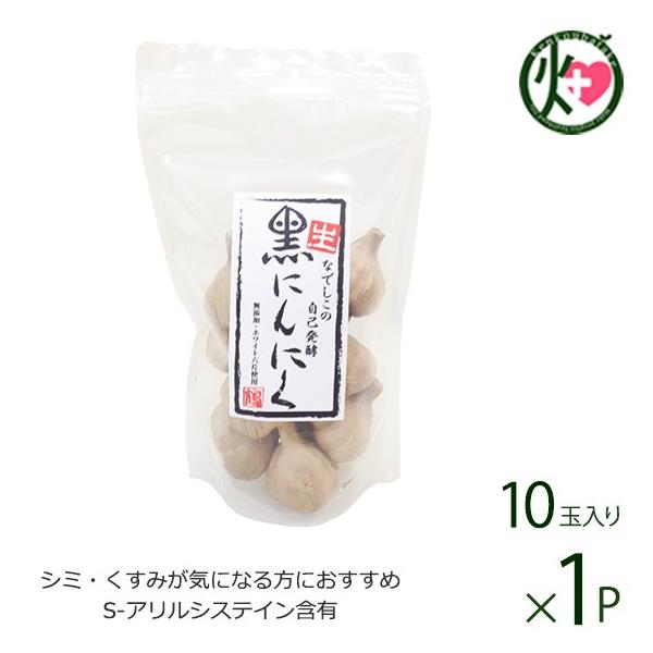 Ȃł̎Ȕy Eɂɂ 10ʓ×1 Ȃł̎RHi  lC Y jjN |tFm[