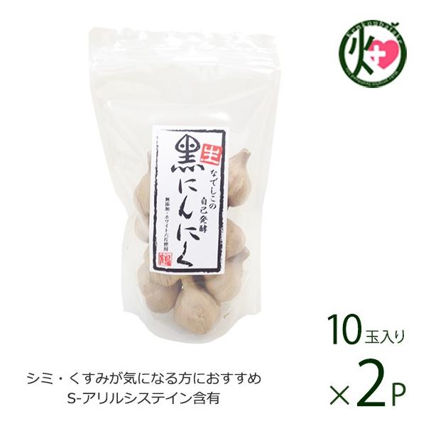 Ȃł̎Ȕy Eɂɂ 10ʓ×2 Ȃł̎RHi  lC Y jjN |tFm[