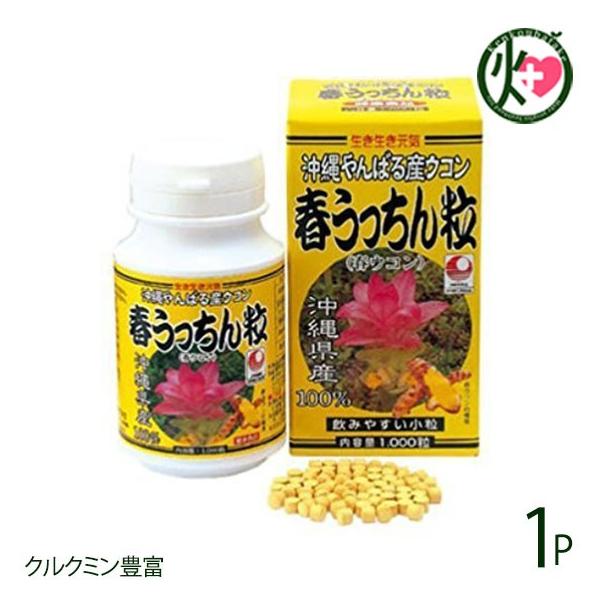 春ウコン 春うっちん粒 1000粒入×1P 健康維持に