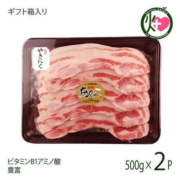 Mtg ϔ [ ؃o ē500g×2P JAȂ  yY ؓ Yuh؂[ 蕨 p r^~B1