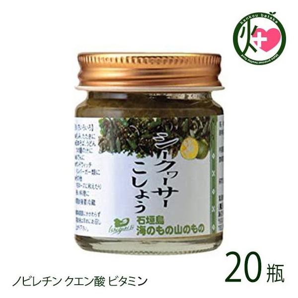 V[N[T[傤 ^Cv 40g×20r Ĉ̎R̂  lC yY mr` r^~ Je ~l   t[c