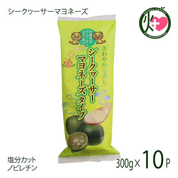 V[N\T[}l[Y^Cv 300g×10{ ܂ ꌧYV[N[T[ʏ`gp  Jbg mr`