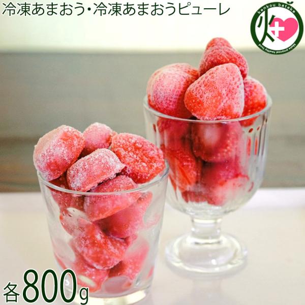 福岡県産いちご 冷凍あまおう 冷凍あまおうピューレ 各800g 食べ 福岡県産いちご 冷凍あまおう 冷凍あまおうピューレ 各800g 食べ