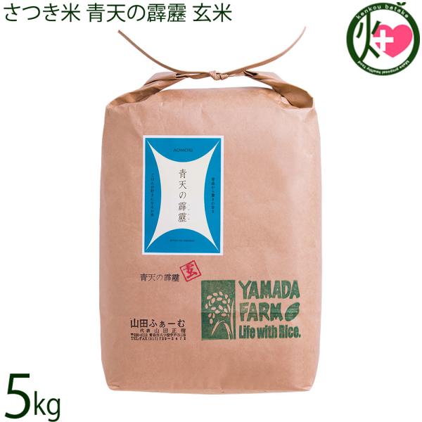 令和7年産 さつき米 青天の霹靂 玄米 5kg×1袋 山田ふぁーむ 青森県 お米 減化学肥料 減農薬
