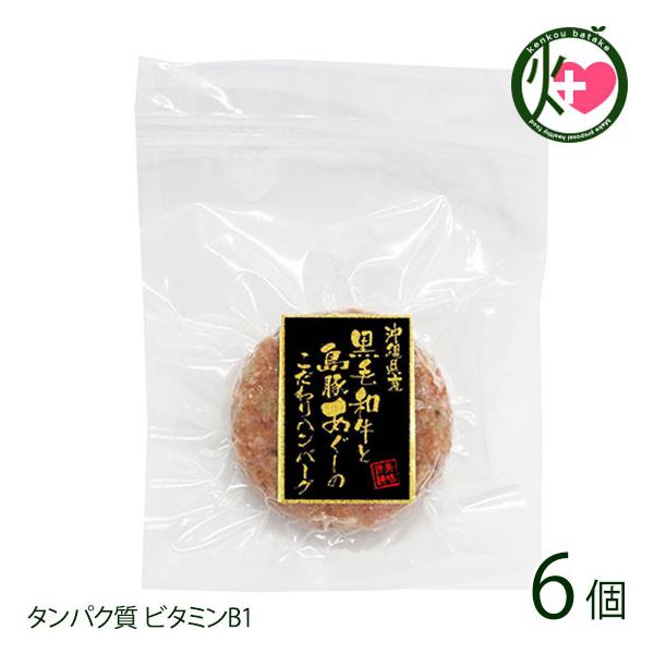 Mtg YјaƂ[؃no[O 100g×6 R  lC yY y mH 蕨 p ^pN r^~B1