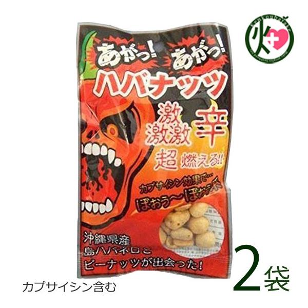  noibc 50g×2 nm  lC yY ꌧY nol h َq ܂ JvTCV