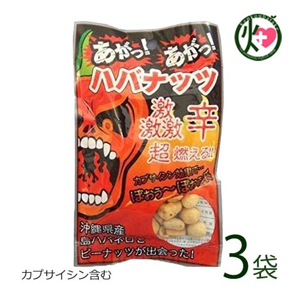  noibc 50g×3 nm  lC yY ꌧY nol h َq ܂ JvTCV