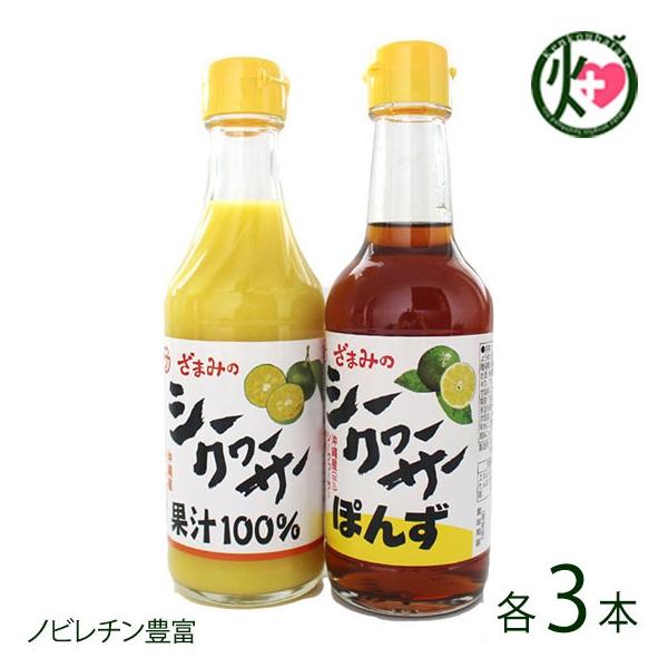 YV[N[T[ʏ`100%EV[N[T[|| ×e3{ Ԗ hZNV܎  yYɂ mr`