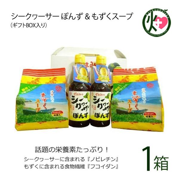 Mtg V[N[T[ ۂ &amp;  Ԗ̊ȒPX[v MtgBOX×1Zbg Ԗ hZNV܎  yY