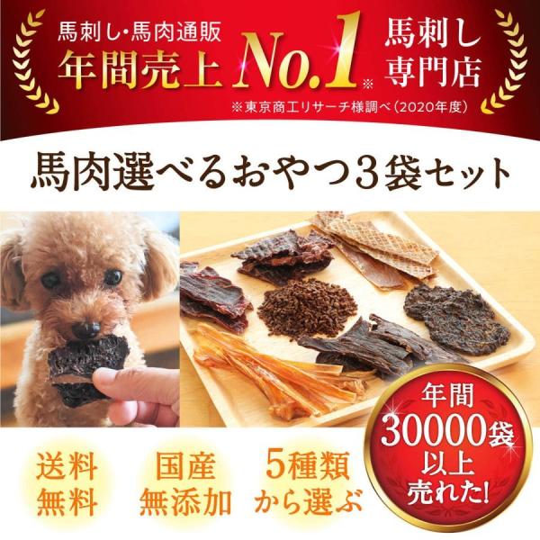 健康いぬ生活　馬肉自然づくり　ドッグフード　馬肉アキレスジャーキー Amazon | 健康いぬ生活 馬肉 アキレス ジャーキー 105g (35g×3袋