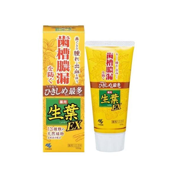 生葉EX 6本セット  歯槽膿漏を防ぐ 薬用ハミガキ ハーブミント味、送料込み 生葉EX 歯槽膿漏防止 薬用ハミガキ 和漢ハーブの香味 100g×2個