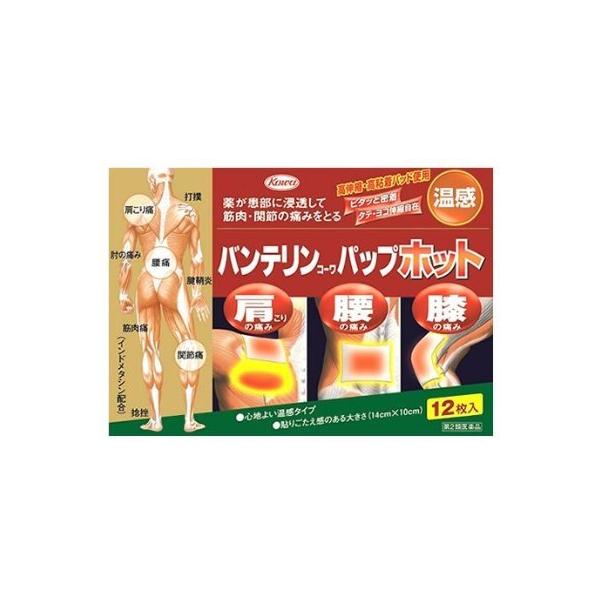 ●薬が患部に浸透して筋肉・関節の痛みをとる外用鎮痛消炎薬です。●ピタッと密着、タテ・ヨコ伸縮自在の高伸縮・高粘着パッド使用。●肩こり・腰・膝の痛みに。●心地よい温感タイプ。●貼りごたえ感のある大きさ(14cm×10cm)です。●保湿チャック...