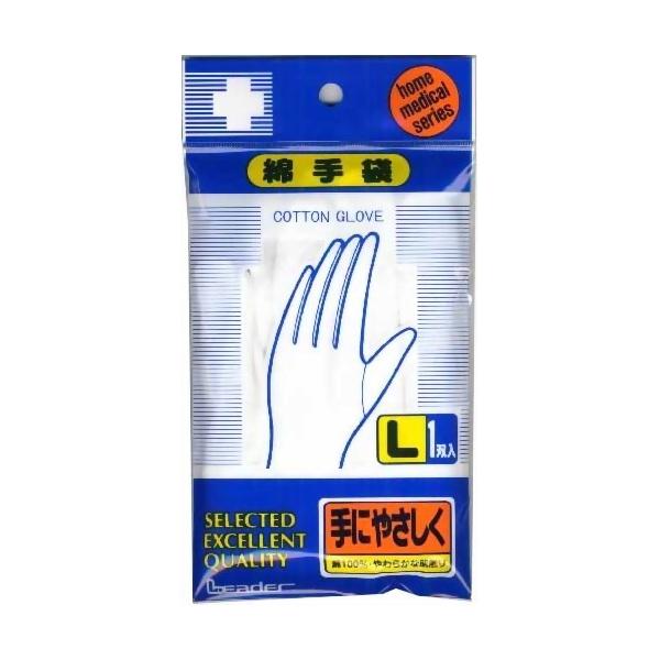 LEȎLTCY1o (䂤pPbgzΏ)