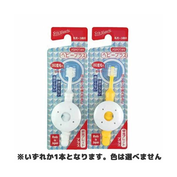 y䂤pPbgzΏہzSTBqO` POPOTAN xr[vX(炩) 360xюuVF͂Iтł܂inuV ͂Ԃ炵j