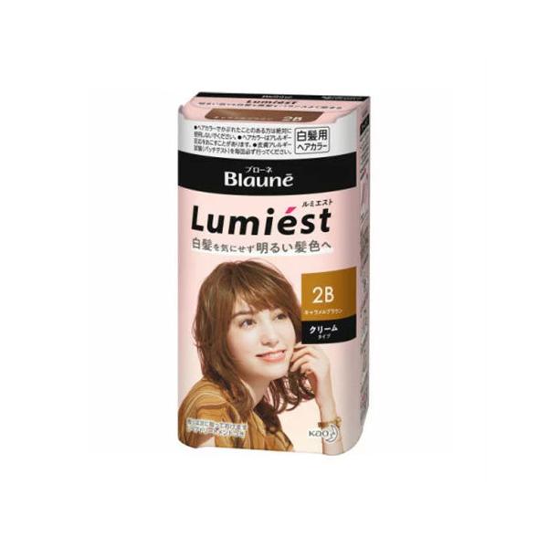 ԉ u[l ~GXg wAJ[ 2B LuE N[^Cv  108gy򕔊Oiz