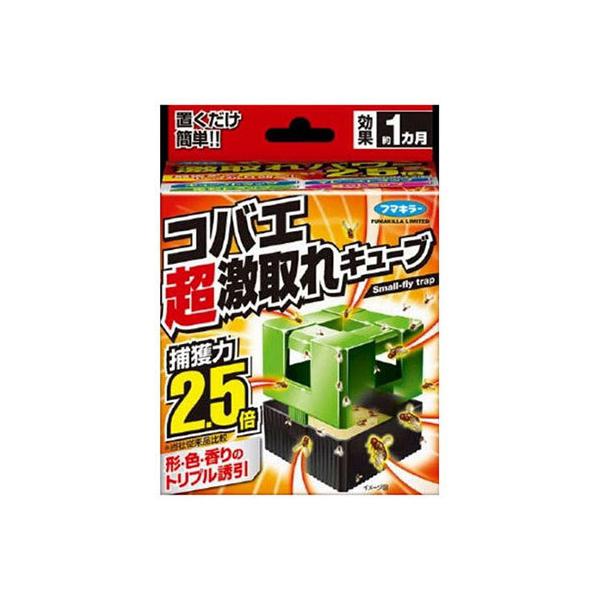 t}L[ RoGL[u 1[hp򕔊Oi]