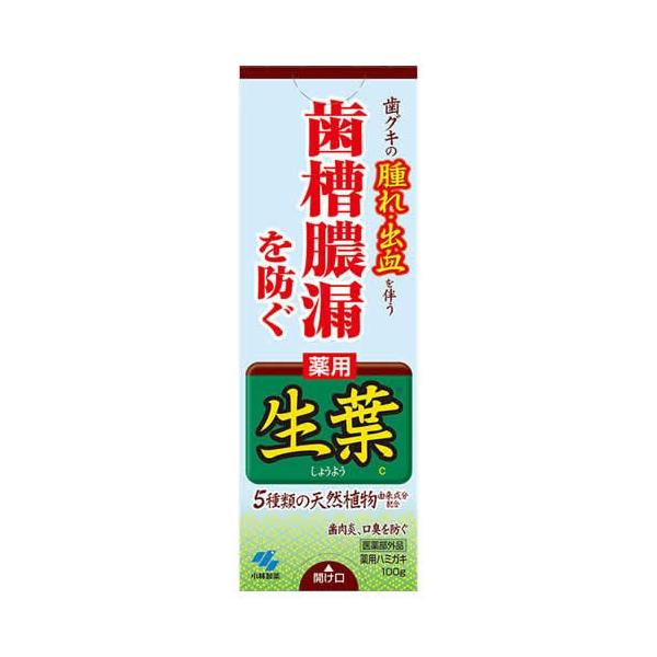 ѐ p t(傤悤)b 100g (򕔊Oi)