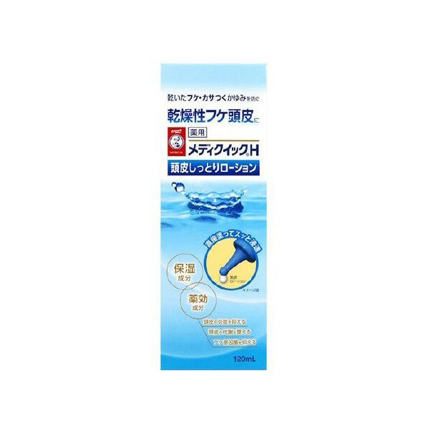 Aさん　専用 ロート製薬 メディクイック120ml 2本セット メンソレータム メディクイックH 頭皮しっとりローション 120ml[医薬部