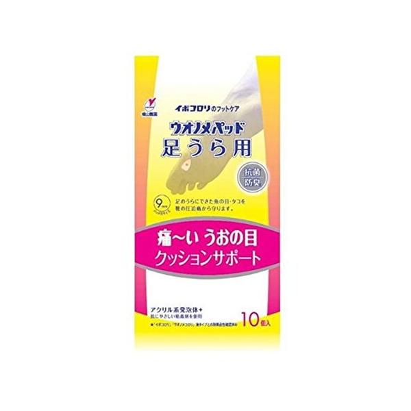 R C{R EImpbh p 10 (䂤pPbgzΏ)