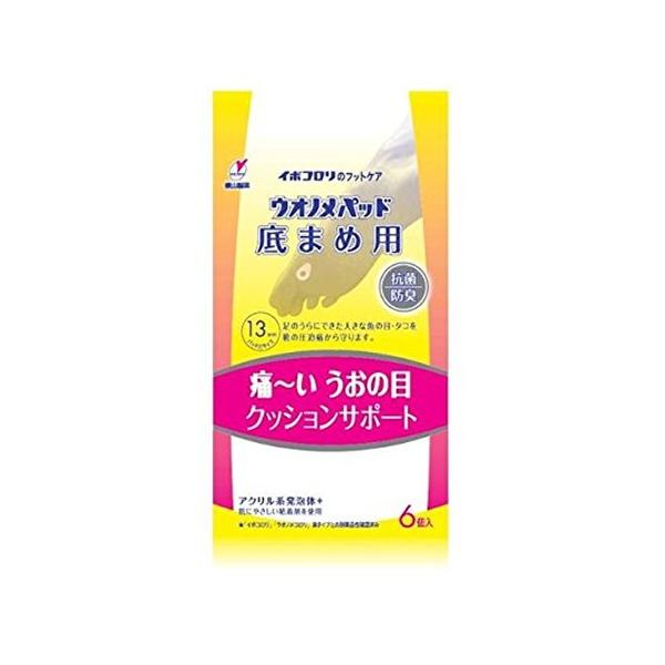 R C{R EImpbh ܂ߗp 6 (䂤pPbgzΏ)