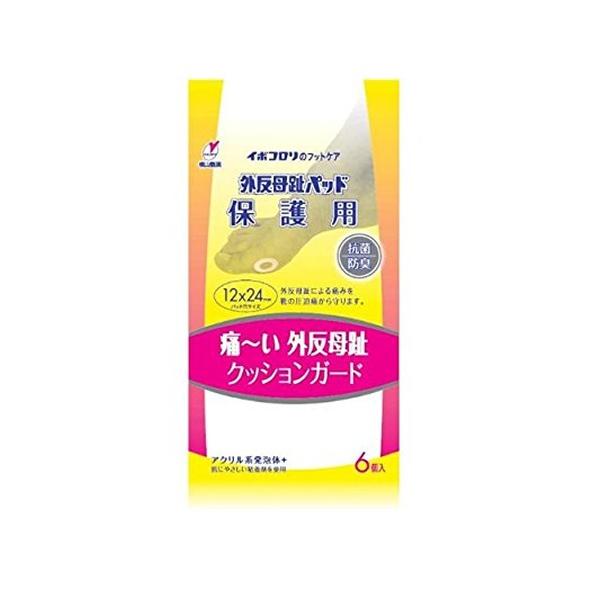 R C{R EImpbh Opbhیp 6 (䂤pPbgzΏ)