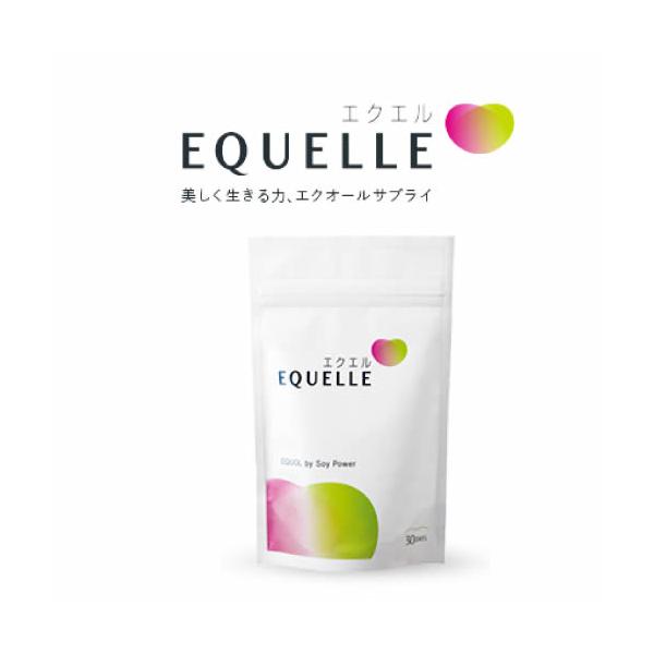 1袋 送料込 エクエル EQUELLE パウチ 120粒 約 30日分 大塚製薬